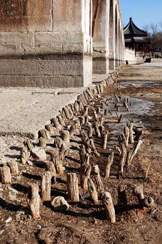 十七孔桥下的护坡木已经有几百年了,仍然起着不小的作用